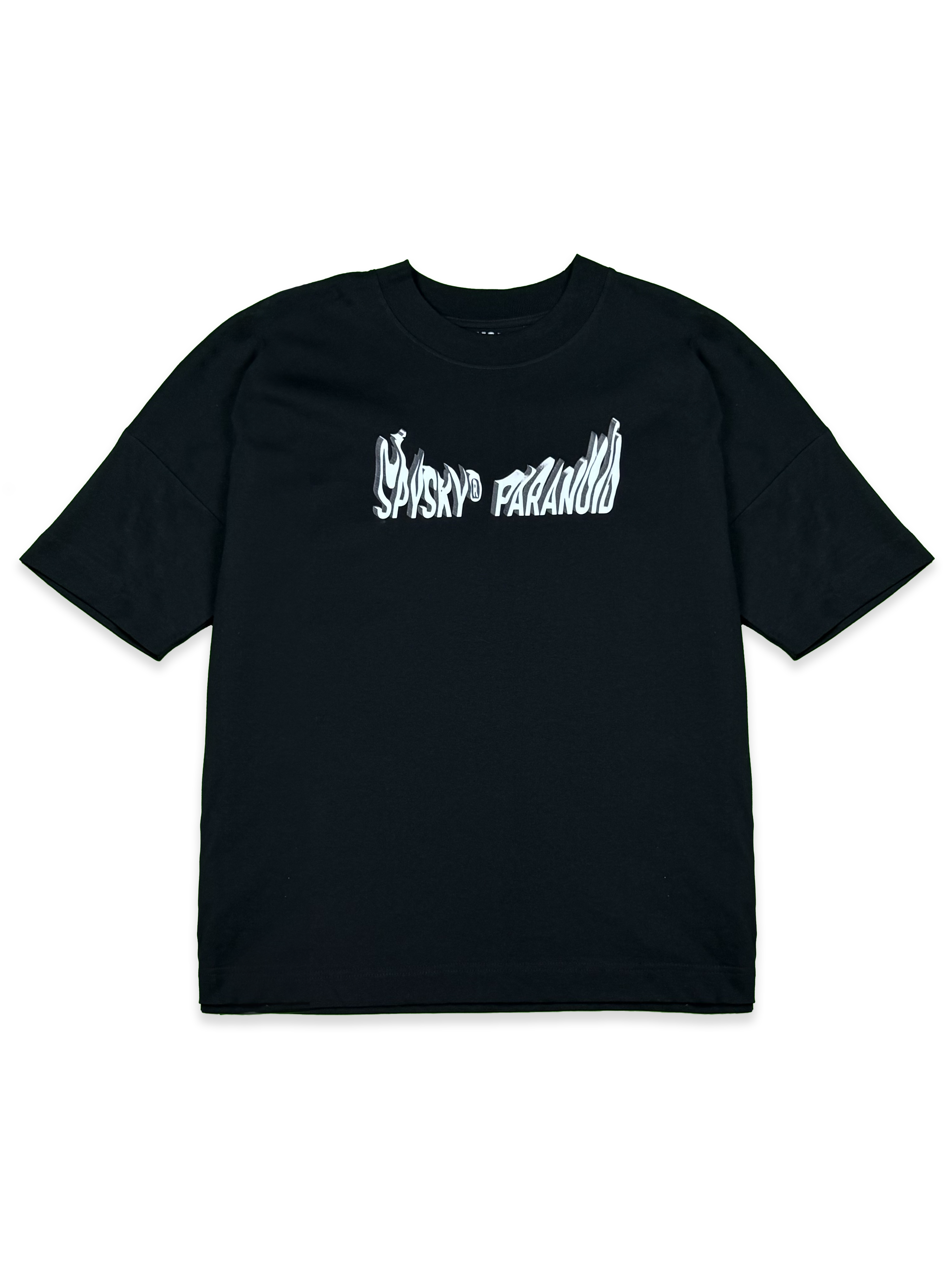 PARANOID SPYSKY